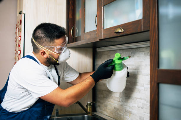 Pest Control for Restaurants in Batesville, MS