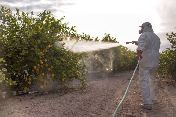 Pest Control Cost in Batesville, MS