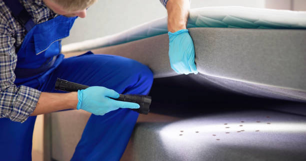 Best Flea Control Services  in Batesville, MS