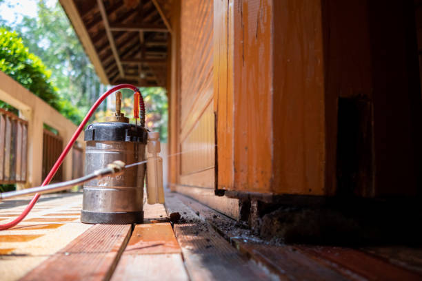 Best Wasp Removal Services  in Batesville, MS