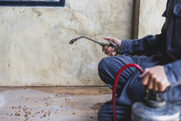 Best Best Pest Control Companies  in Batesville, MS