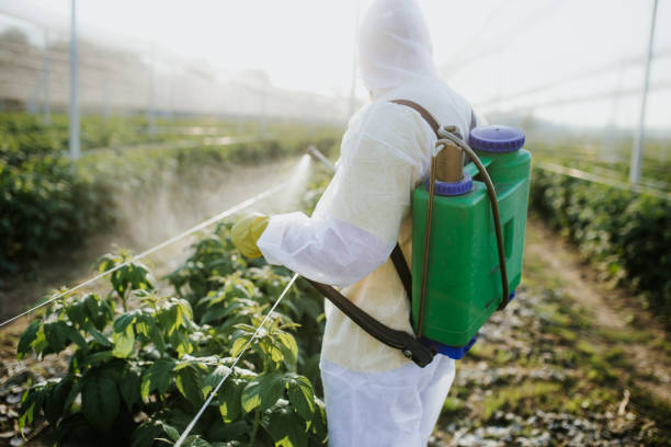 Best Emergency Pest Control  in Batesville, MS